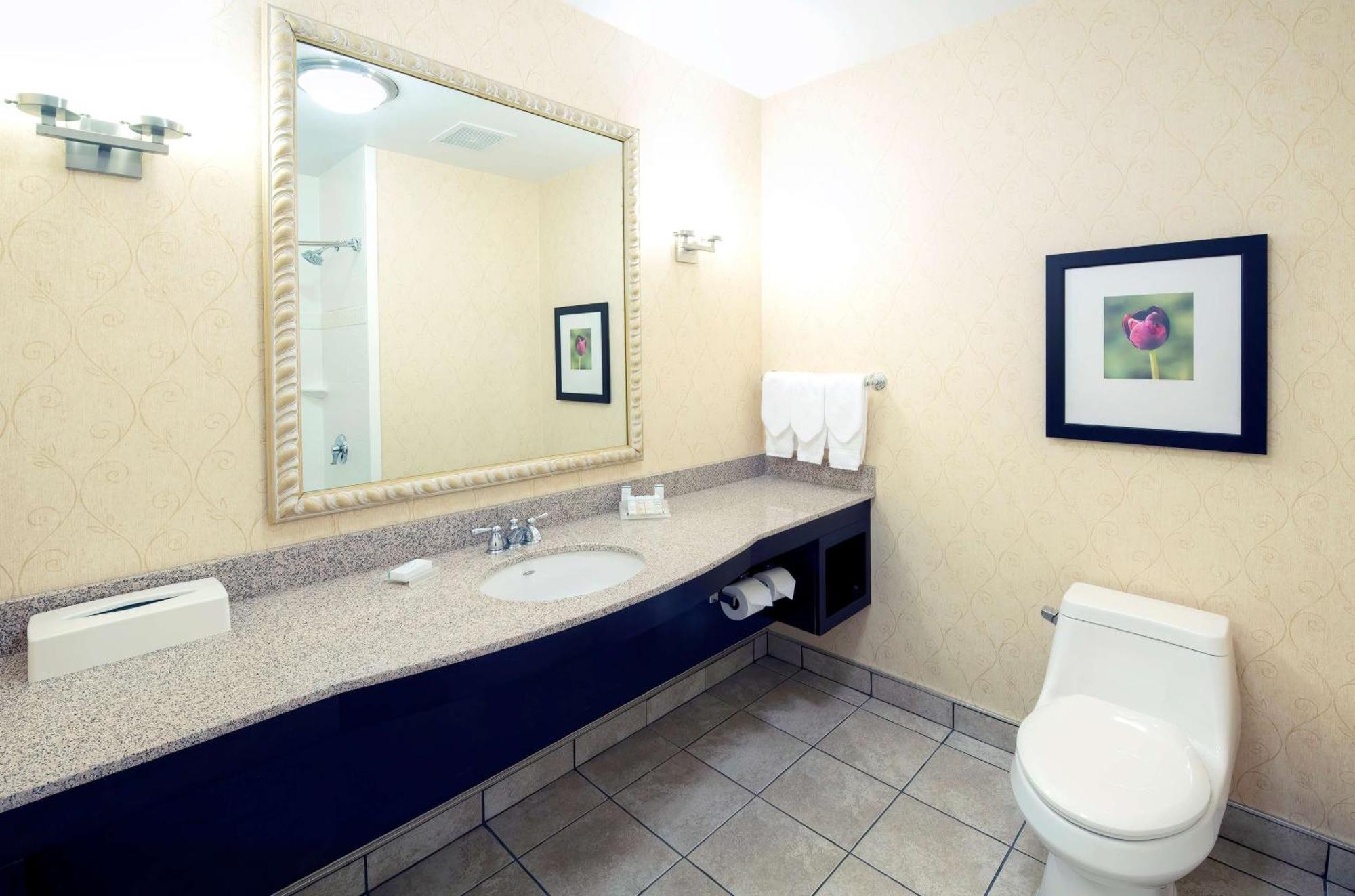 Hilton Garden Inn Ottawa Airport Екстер'єр фото